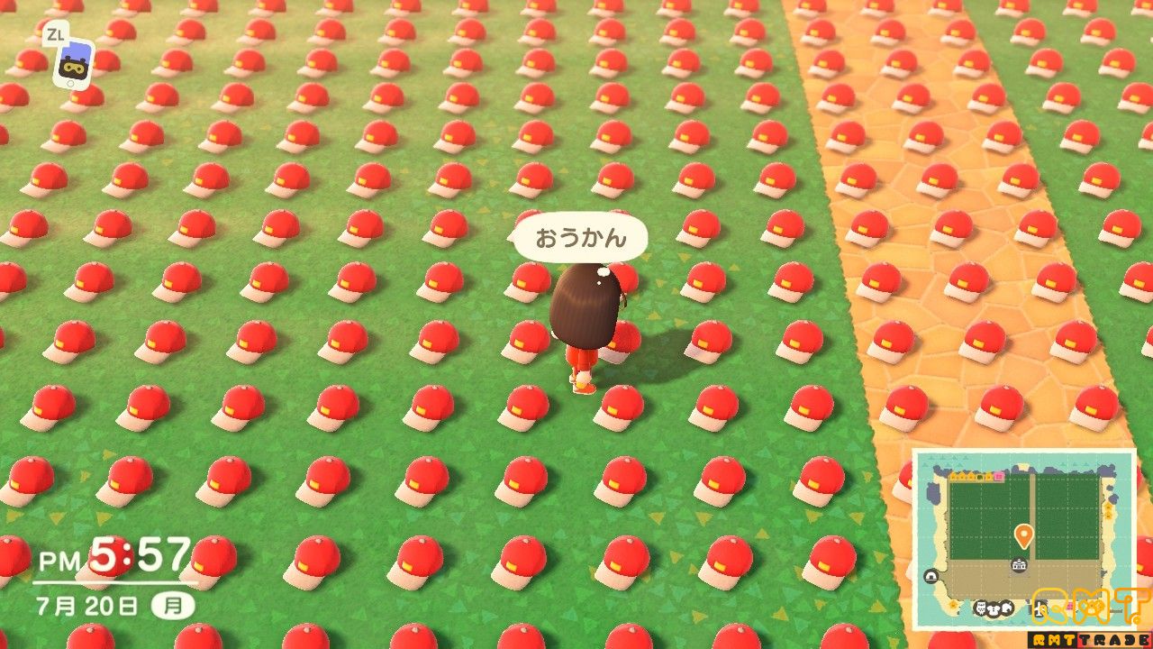 王冠★マイル旅行券★さかなのえさ★金鉱石★取り放題