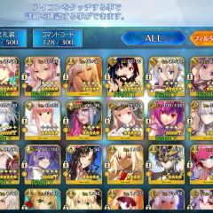 FGO 星5 20体以上！キャストリア スカディ有り